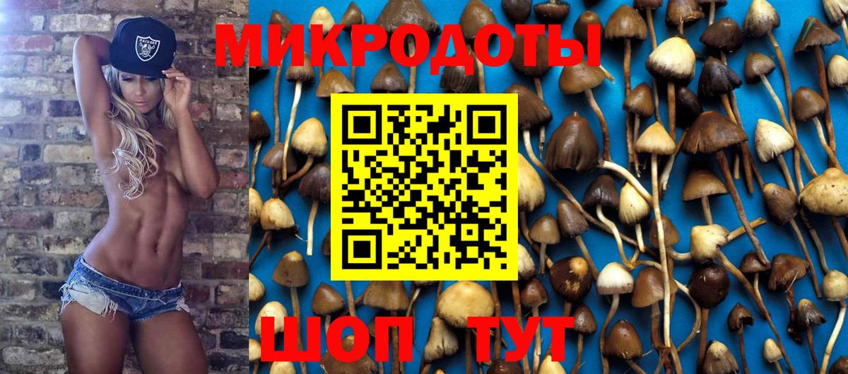 Псилоцибиновые грибы мицелий Каменск-Уральский